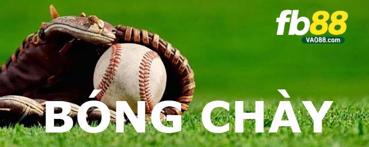 Các hình thức cược bóng chày cần biết Các hình thức cược bóng chày cần biết